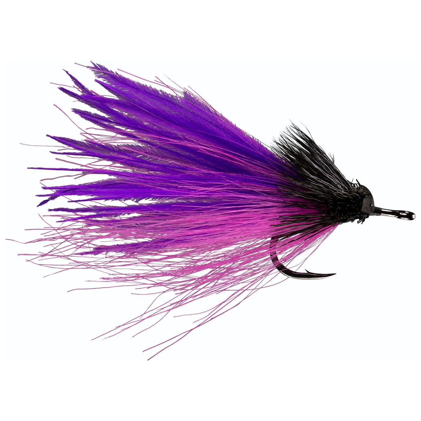 RIO Dread Pirate Purple / Pink Image 01